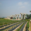 여주-0686 Daum카페