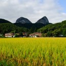 용산-현장-1129 정책브리핑