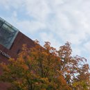 마로니에 | 제43회 마로니에 백일장 후기