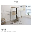 비피에프캣