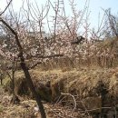 매화리경로당 이미지