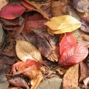 디지털카메라활용(중급) 이미지