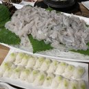 백구회포차