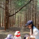 전주곤충캠퍼스 이미지