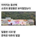 밀양 (얼음골사과.대추)축제 이미지