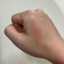 [내돈내산] 올리브영 빅세일 쇼핑템 후기 털기 :: 라네즈 뷰러/이글립스 틴트/힌스 래디언스밤/더샘...