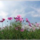 세광농원 이미지