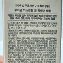라임스킨셀
