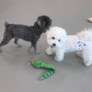 하이도기 이미지