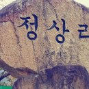 봉하보건진료소 네이버블로그