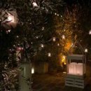 초등 우쿨렐레 이미지