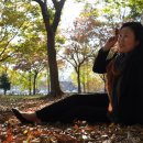 고산돌맹마을 이미지