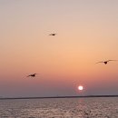 광교JC정형외과의원 이미지