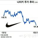 썬라이즈 태양광발전소 이미지