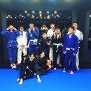 격투창고 MMA 이미지