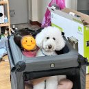 뭉치켄넬 이미지