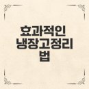 정리, 수납 달인되기 | 냉장고정리 방법과 최적 수납용기 노하우