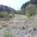 서원면사무소 이미지