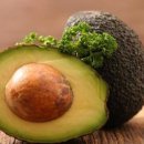 바디다짐 이미지