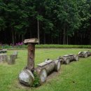 토종흑염소 이미지