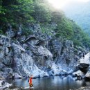 솔향이 진한 이미지