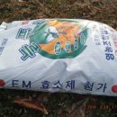 손주들농장 이미지