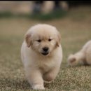 올림푸스원 이미지