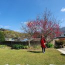 지리산길민박 티스토리