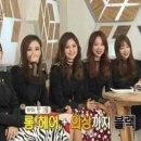 자연.이미지 Daum카페