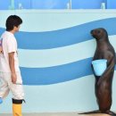 제주오다 이미지