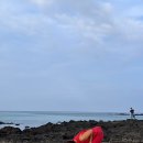 비자림빌리지1 이미지