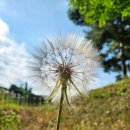 추풍령(서울)휴게소 이미지