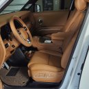 뉴타입 | LED 도어스커프 추천, 디올뉴 팰리세이드 무빙 타입 장착 후기