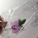 양원꽃집 이미지