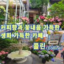 [합정/상수] 생화가 가득한. 힐링하기 좋은. 홍대 플라워카페 :: 콜린(Colline) / 솔직후기