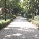 선경공인중개사사무소 이미지