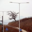 임자 수도 관광안내소 이미지