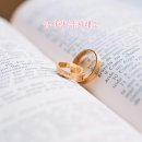 금사랑금거래소 - 익산시 고봉로32길 13-1 | 금사랑금거래소