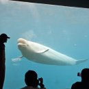 (24하반기)명상 요가 이미지