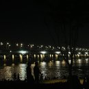 방앤피그 이미지