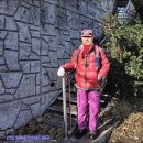 동명불원 이미지