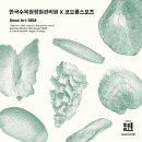 풀림