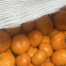 이한영농장 이미지