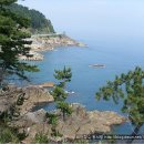 새천년도로 Daum카페