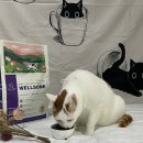 둔둔축산 이미지