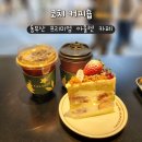 씨제이올리브영(주) 롯데프리미엄아울렛동부산점 | 동부산 롯데 아울렛 코치 커피숍 기장 카페 후기 굿즈 등