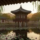 부산에서 함안까지 급한 미팅 일정, 장거리 택시로 환승 없이 바로 도착｜예상보다 빡빡했던 하루, 기사...