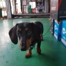 고향길카센터 이미지