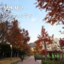 구덕운동장 이미지