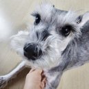 바우미우동물병원 이미지